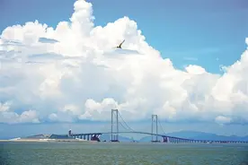 一日吃遍双城！拿着这份“深中美食地图”去打卡图片
