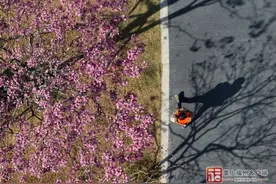 福州冬天惊鸿一瞥！很多人不知道她的名字图片