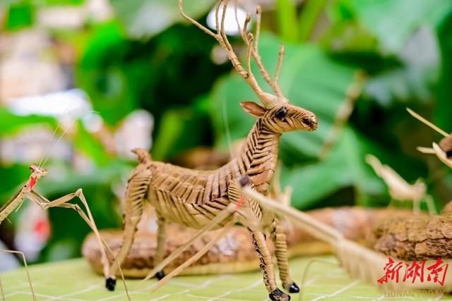 攻略来了！赏鱼灯、品非遗、闹元宵，这样过才最湖南！