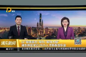 以“最美音乐”献礼“最强大脑” 浦东新区举行2025人才新春音乐会视频封面