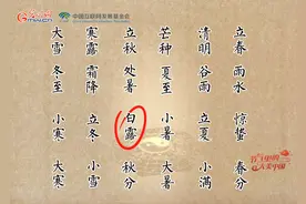 白露到，秋意浓！看古人为何在白露时节费尽心思收集露水？图片