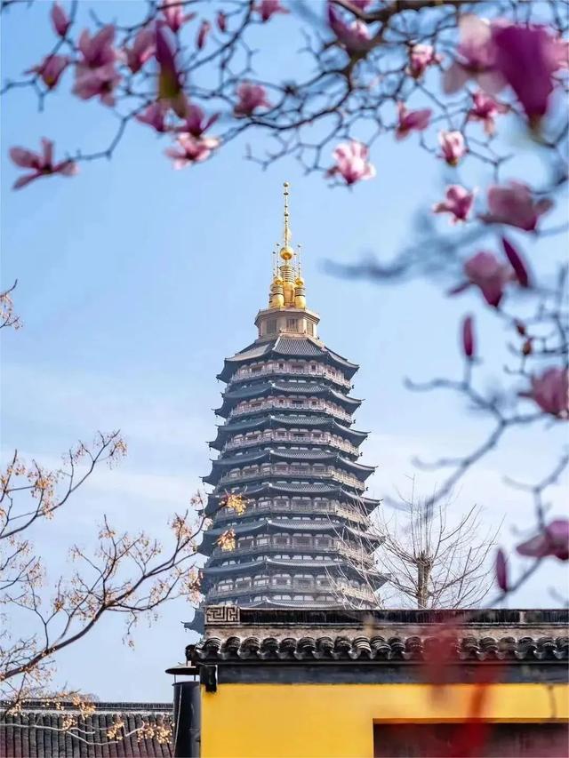常宝和阿镇，场外的那些满分默契