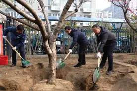 共绘绿色家园 东城区崇文门外街道开展首届植树节活动图片