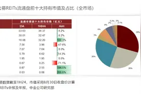 “长钱”增配公募REITs，市场扩容项目分配能力出现下滑图片
