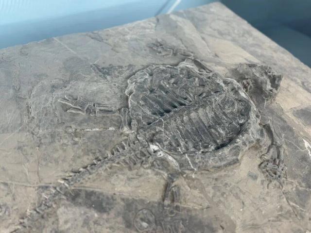 澜湄光影落曲靖，五张名片藏着这座城的“镜头语言” 一起来曲靖取景