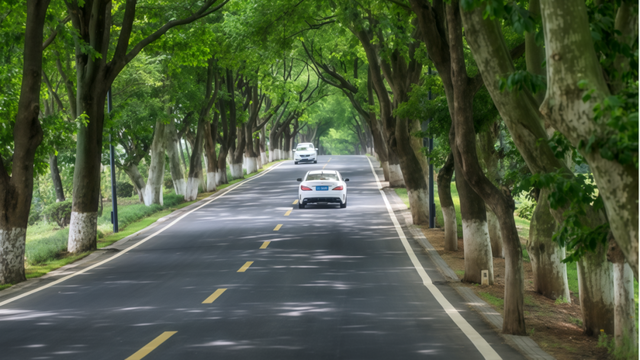 无锡这些农村公路，藏着最惬意的清凉