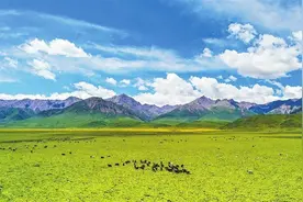 河西走廊：联通与融通图片