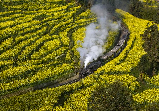 春暖中国｜万物生辉时：鲜花次第开，芬芳入画来