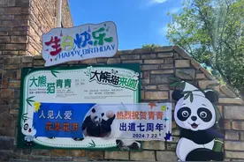 长沙动物园这个“女明星出道”七周年，园方精心准备蛋糕，游客现场陪过生日图片