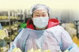 蓟州“金玉兰菜”进京记（图）图片