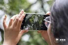 谈个天 | 夏日未尽，秋分已至，桂香中迎接秋的到来图片