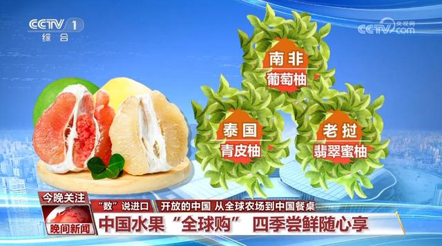 进博时间开始 在一个个展区内感受开放的中国