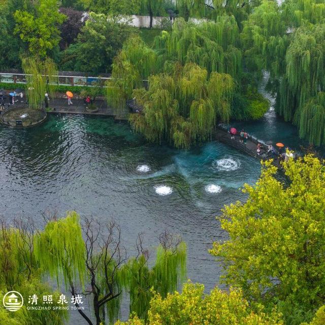 泉水撒欢！济南“泉水游”进入最佳观赏季