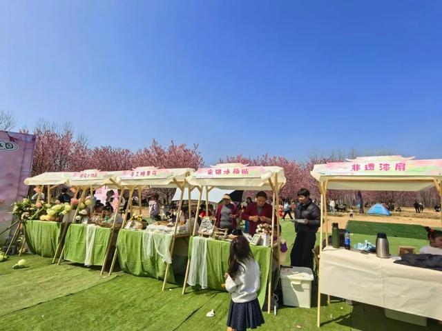 第四届全椒县马厂镇樱花季正式开幕