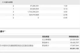 继续投资中国！中东资金持续加码，布局多领域图片