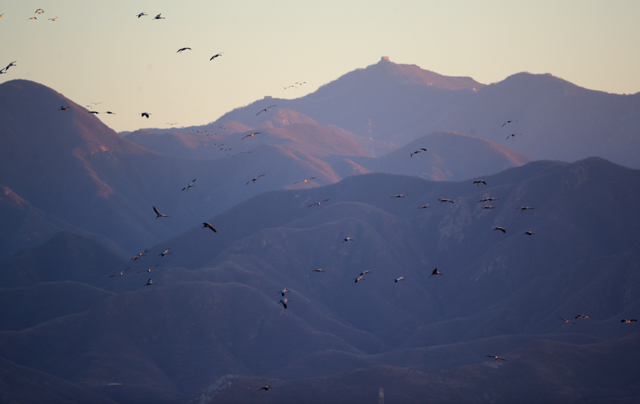 北京冬日限定“奇观”！就到月底！快冲→