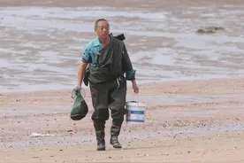 退大潮，赶海忙图片