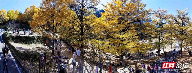 【每日一图@湖南】在永州桐子坳，我找到了最动人的浪漫