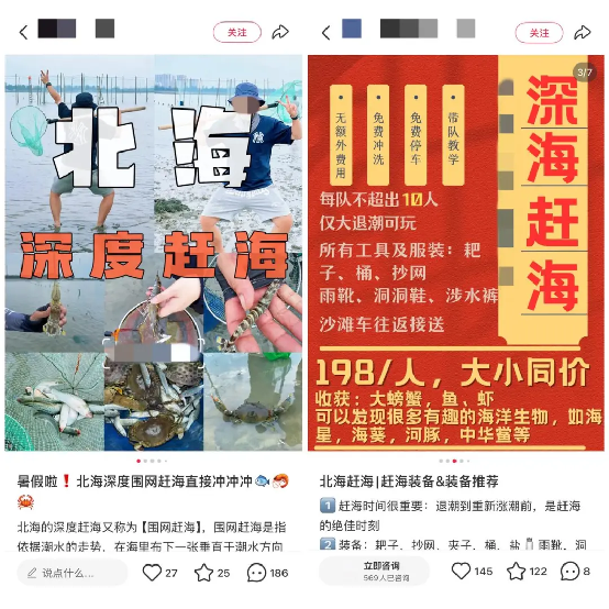 “宠客式”赶海火了！究竟是“福”还是“祸”？