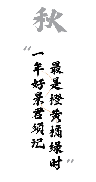 绝绝子！除了绝绝子，我还能怎么夸洛阳