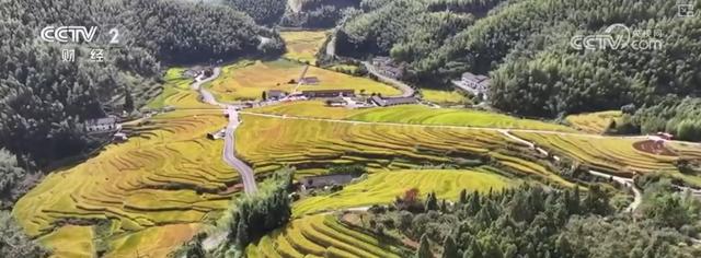 多彩秋日让游客“留下来赏秋、住下来体验” 带火多样化文旅消费