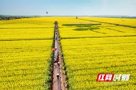 3月17日！2025年湖南油菜花节在岳阳市君山区开幕 赏花海、品美食、玩科技一站式体验图片
