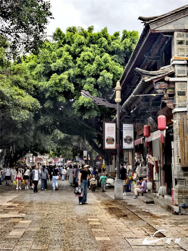 周末“特种兵” 乘动车2天高效打卡滇南