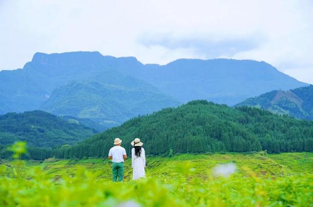 爱了！8月29日至31日，瓦屋山【所有人免门票】 这个七夕在家搂搂抱抱，不如来兰溪绝壁栈道！