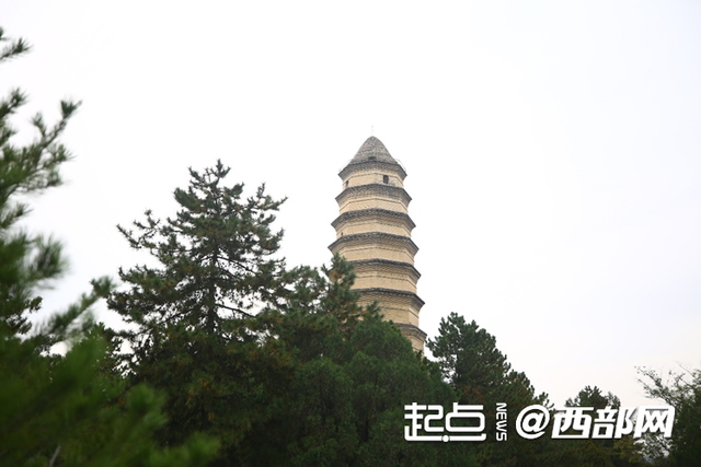 宝塔引航向，初心照征程——重走长征路 新时代青年延安行叩响青春信仰之门