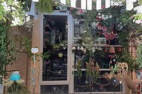 闵行这个花鸟市场里，藏着一个温暖的宝藏小店……图片