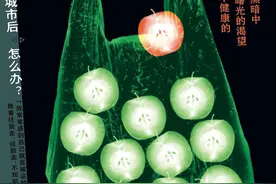 是我们在驯猫，还是猫在驯我们？｜一周新书推荐图片