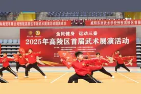 2025年高陵区首届武术展演活动成功举办图片