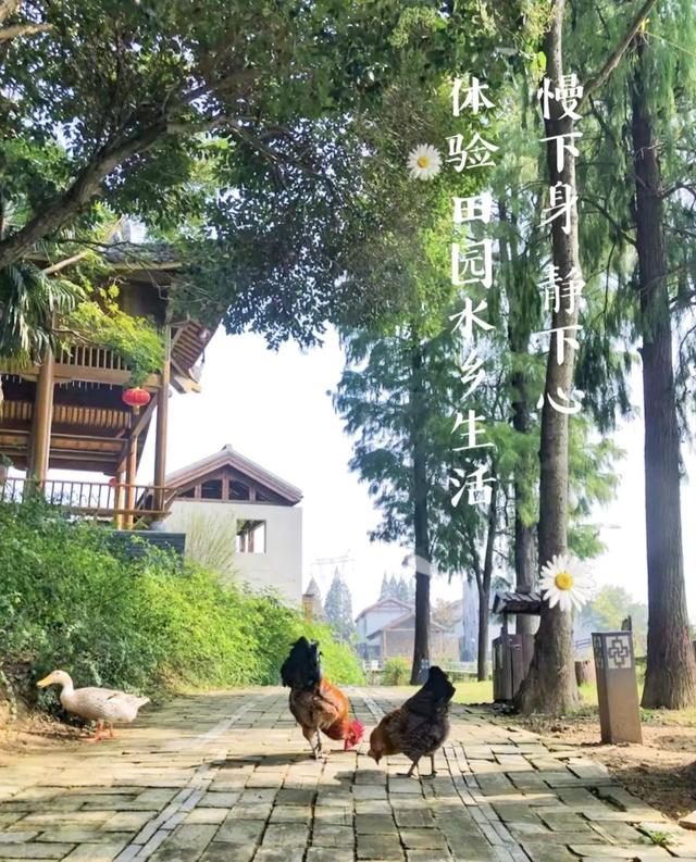 别EMO啦！治愈夏天的良药在这里→