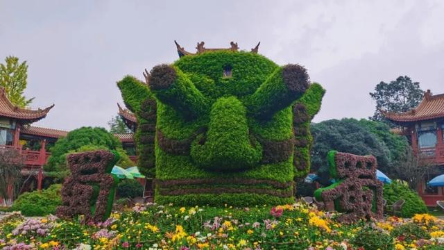 青睐绵阳 ‖ 一城秋色，菊香满园，游仙区富乐山十万香阵花正浓！