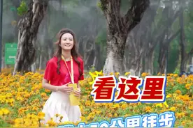 超实用！2025佛山50公里徒步电子签到纪念牌使用指南→图片