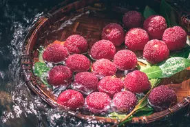 健康小站丨杨梅成熟黄金季，医生提醒：这些人尝鲜时得长点心图片