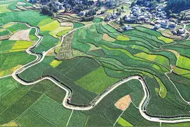 因地制宜改善农村人居环境（金台视线）图片