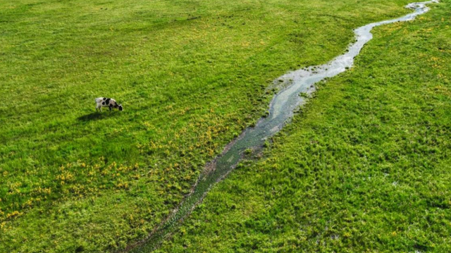 香格里拉国家公园候选区：冬韵如诗，静谧灵动