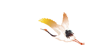 重阳暖孝亲，文脉润金陵——携父母同游南京夫子庙