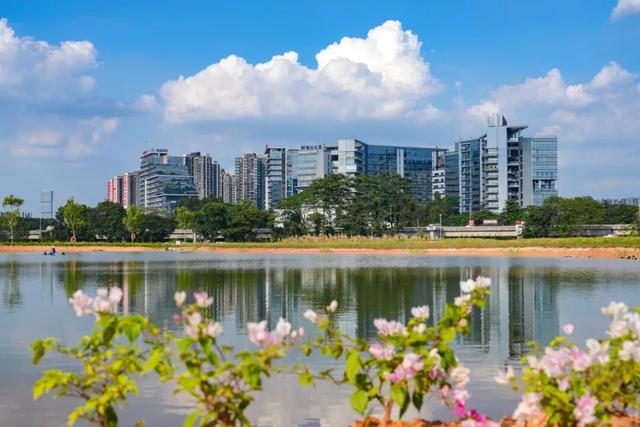 周末出发！打卡东莞市区这些「治愈系」风景