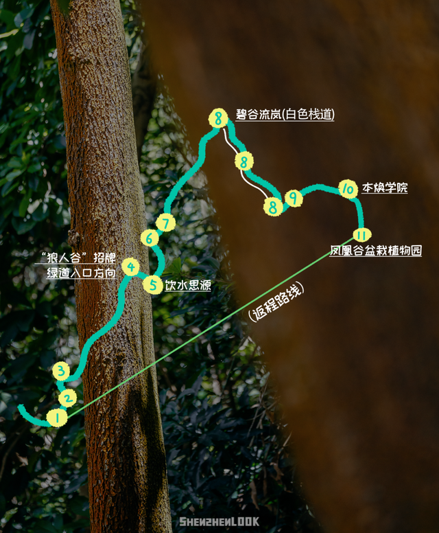 “深圳被严重低估的绿道，人少好发呆”