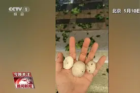 驾车行驶过程中突遇冰雹如何避险？车损保险能赔吗？图片