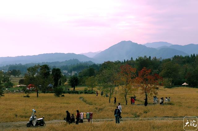 安徽黟县：斑斓塔川惹人醉