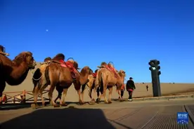 华为Mate X5上手体验：从配置到性能引领折叠屏手机可持续发展图片