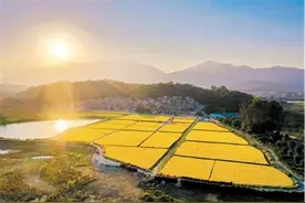 广东开平：农文旅融合发展 共绘乡村振兴“大沙图景”图片