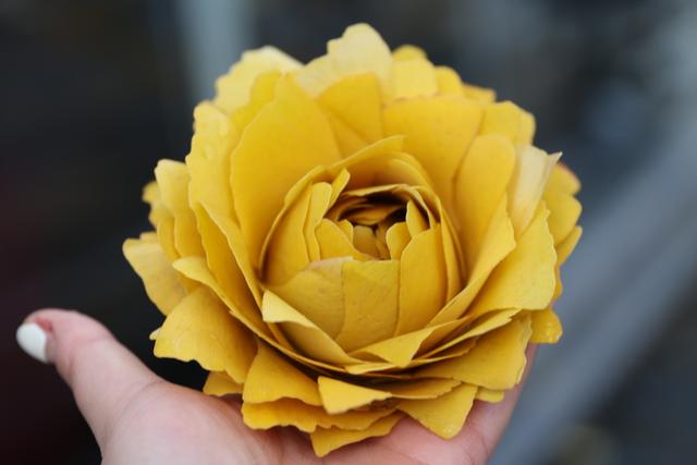 局门路百米银杏长廊热度飙升，找到这个隐藏打卡机位分分钟拍出金秋绝美大片