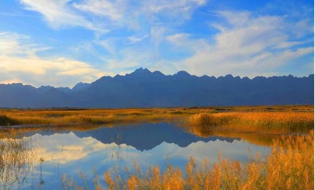 大美湿地屠申泽