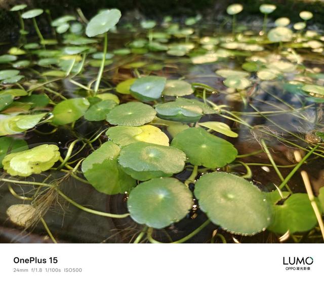 旗舰体验迎来新高度，165Hz+性能“Ultra”越级：一加15评测