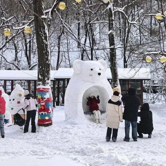 雪山、雾凇、云海......我就这样被辽冬轻松“拿捏”