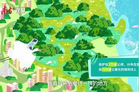 守“木头”的人图片